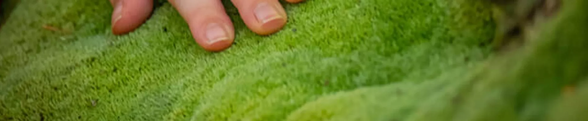 Au jardin de l’enfance